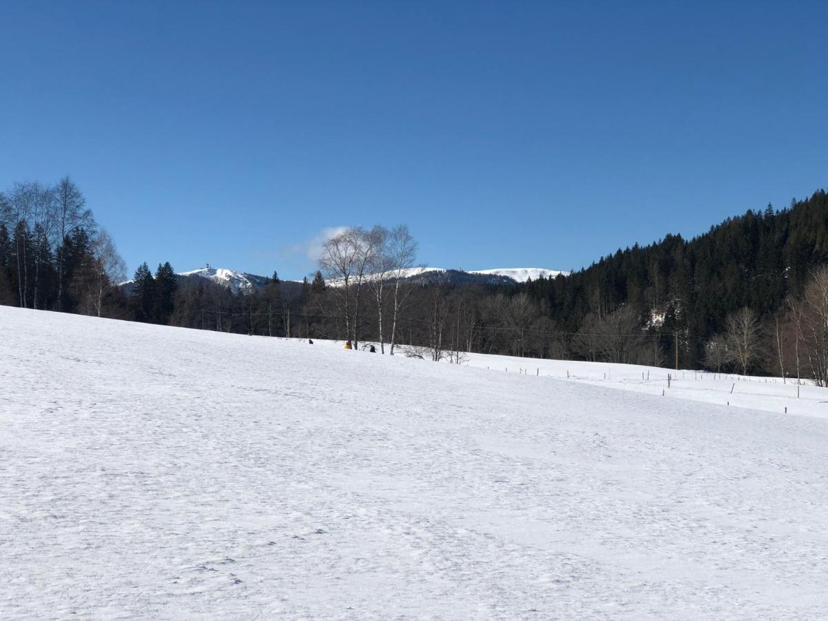 Gaestehaus Lickert Familie Dreher Hinterzarten Esterno foto